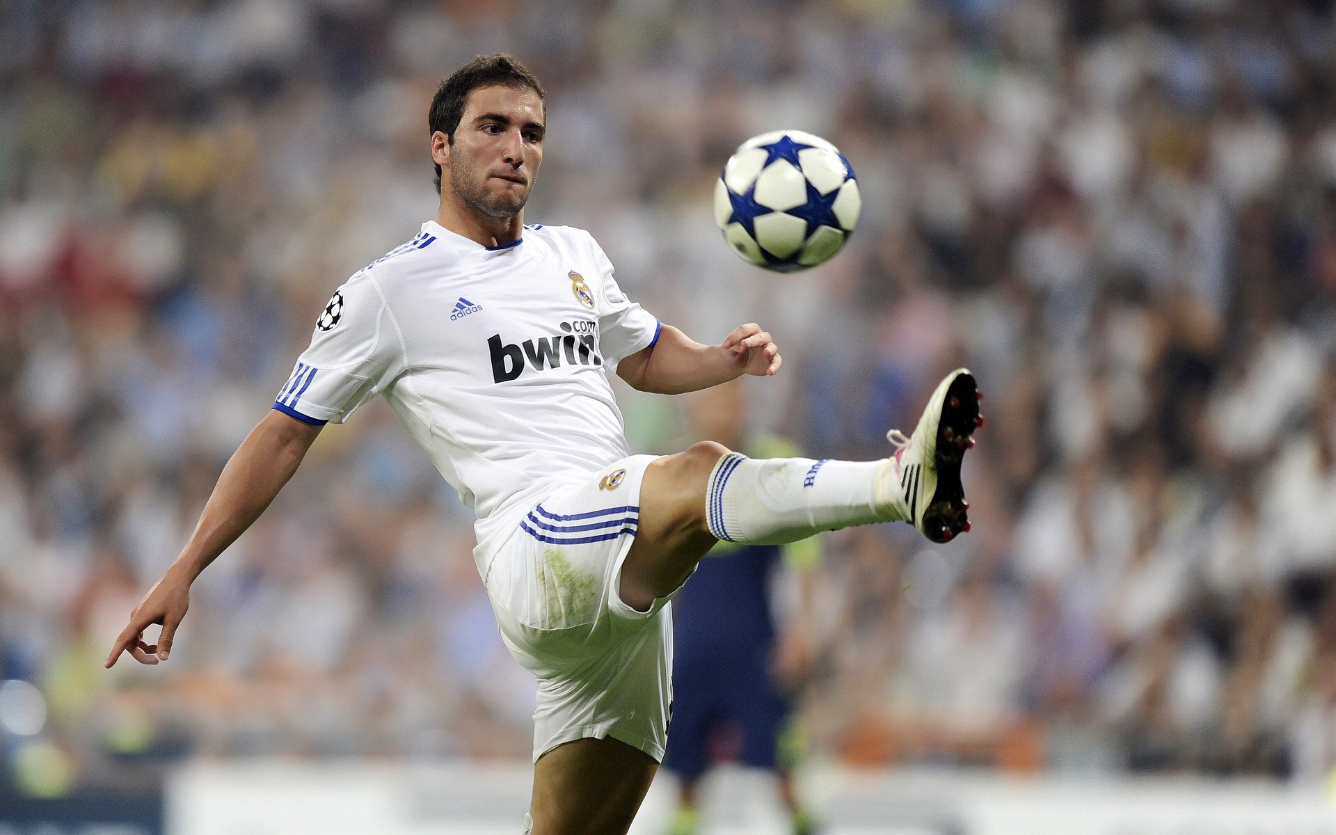 “球场上的趣味冷知识：你知道这些NBA趣事吗？”，nba趣味问答