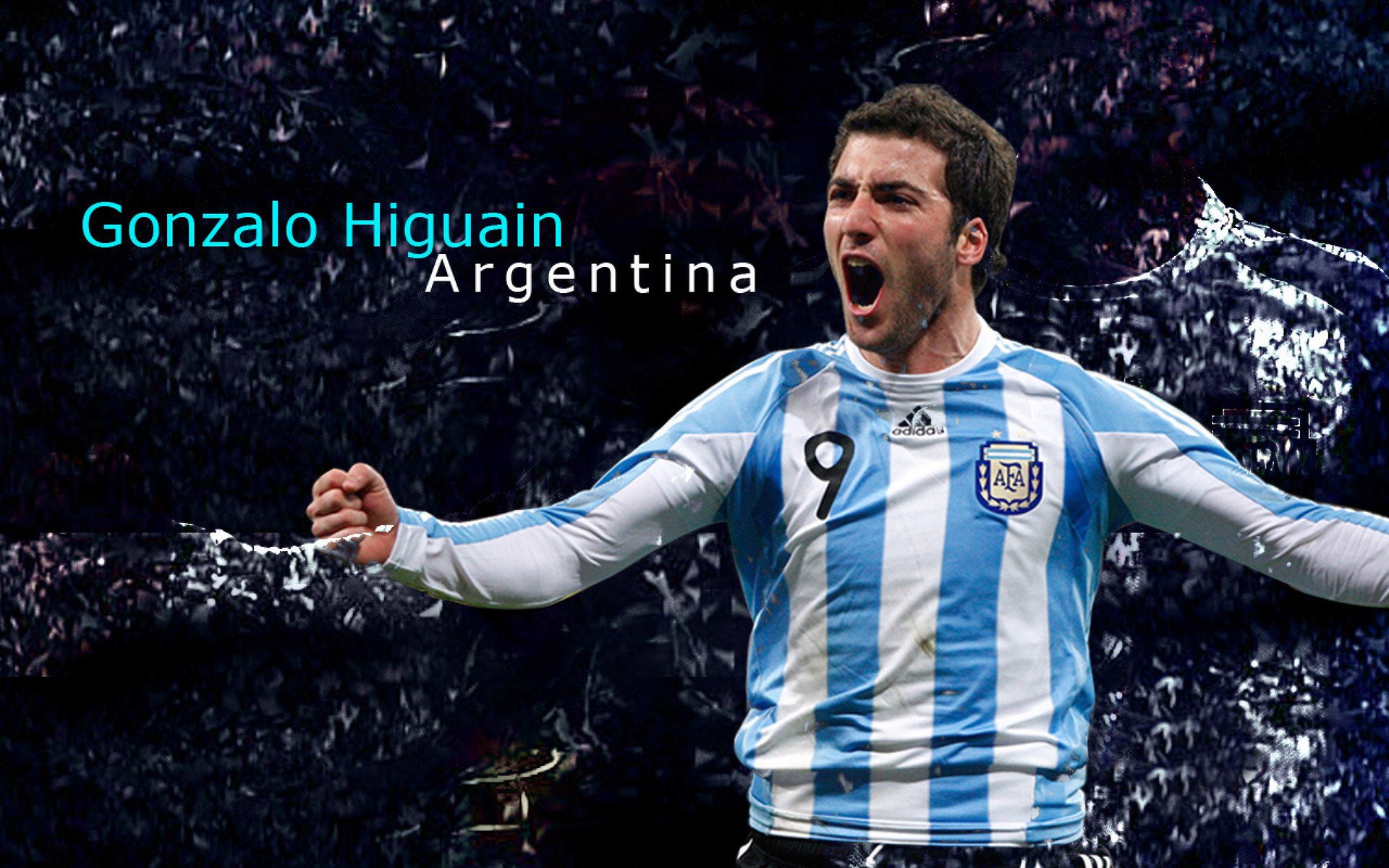 爱游戏电脑版官网-世界体育日特别策划：那些年我们追过的体坛英雄，世界体育名人介绍